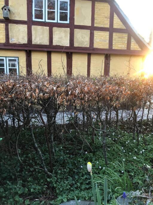 Idyllisk, Historisk Byhus Ved Fjorden I Mariager Esterno foto